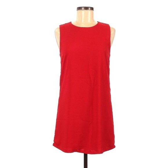 Oliviaceous Sleeveless Shift Dress - Picture 4 of 5